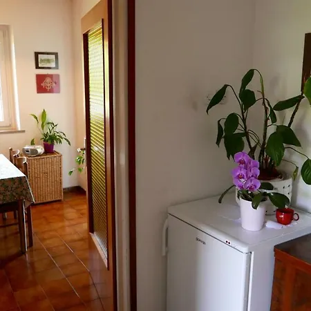 Apartamento Bonsai House Portoroz