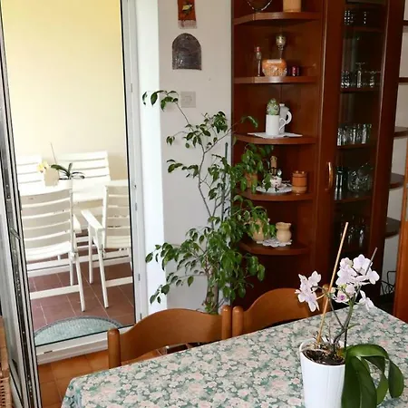 Bonsai House Apartamento