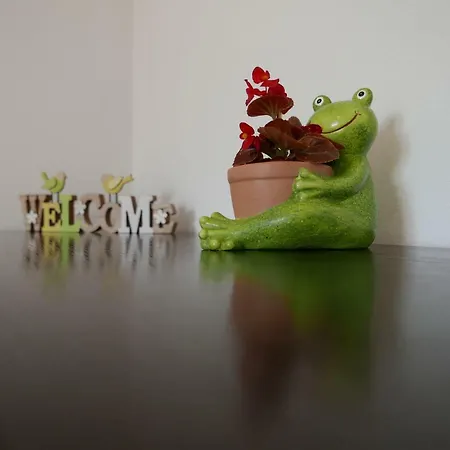 Apartment Bonsai House *