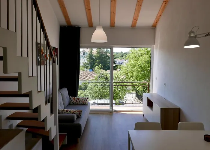 Apartment Bonsai House