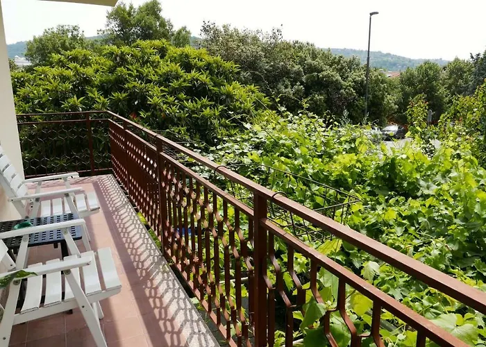 Apartment Bonsai House