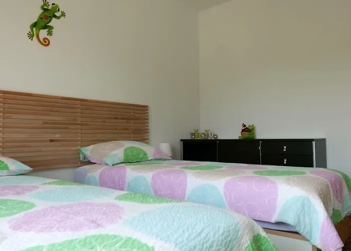 Bonsai House Apartment